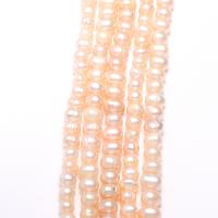 Brambor pěstované sladkovodní perle, Sladkovodní Pearl, přírodní, růžový, Grade, 5-6mm,10*7cm, Otvor:Cca 0.8mm, Prodáno za Cca 14.5 inch Strand