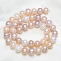 Brambor pěstované sladkovodní perle, Sladkovodní Pearl, přírodní, smíšené barvy, 10-11mm,15*10.6cm, Otvor:Cca 0.8mm, Prodáno za Cca 16 inch Strand