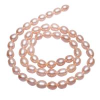 Brambor pěstované sladkovodní perle, Sladkovodní Pearl, přírodní, růžový, 6-7mm,13*8cm, Otvor:Cca 0.8mm, Prodáno za Cca 15 inch Strand