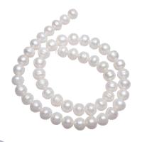 Bulvių išauginti gėlavandenių perlų karoliukai, Gėlo vandens perlų, Bulvė, natūralus, baltas, 9-10mm,15*10.6cm, Skylė:Apytiksliai 0.8mm, Parduota už Apytiksliai 15.3 Inch Strand