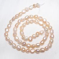 Bulvių išauginti gėlavandenių perlų karoliukai, Gėlo vandens perlų, Bulvė, natūralus, baltas, 5-6mm,10*7cm, Skylė:Apytiksliai 0.8mm, Parduota už Apytiksliai 15 Inch Strand