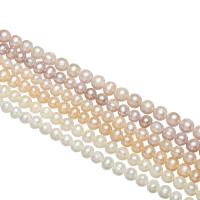 Bulvių išauginti gėlavandenių perlų karoliukai, Gėlo vandens perlų, Bulvė, natūralus, įvairių stilių pasirinkimas, 6-7mm, Skylė:Apytiksliai 0.8mm, Parduota už Apytiksliai 14.5 Inch, Apytiksliai 15 Inch, Apytiksliai 15.5 Inch Strand