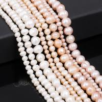 Cultured Baroque Freshwater Pearl Beads Round polished & DIY Sold By Bag
