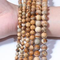 Picture jaspis perler, Picture Jasper, Runde, poleret, du kan DIY & forskellig størrelse for valg, gul, Længde 15 inch, Solgt af Bag