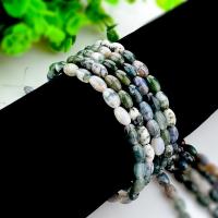Natürliche Moos Achat Perlen, Trommel, poliert, DIY, 5x8mm, verkauft von Strang