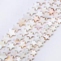 Naturlig Pink Shell Perler, Stjerne, poleret, du kan DIY & forskellig størrelse for valg, Solgt Per Ca. 15 inch Strand