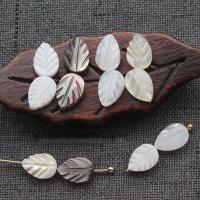 Naturlig Freshwater Shell Perler, Carved, du kan DIY & forskellige stilarter for valg, flere farver til valg, Solgt af PC