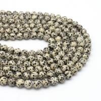 Dalmatian Beads, Jasper Messicano, Cerchio, lucido, DIY & formato differente per scelta, colori misti, Venduto per 38 cm filo