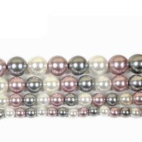 Natural Colored Shell Beads Round polished DIY mixed colors Sold By Strand
