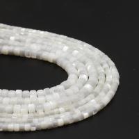 Perline conchiglia in bianco naturale , Cerchio piatto, DIY & formato differente per scelta, bianco, Venduto da filo