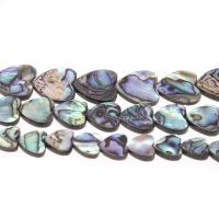 Abalone Schelp Kralen, Hart, DIY & verschillende grootte voor keus, gemengde kleuren, Verkocht door Strand