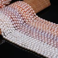 Cultured Rice Freshwater Pearl Beads Round polished DIY 6-7mm Sold By Strand