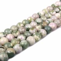 Gemstone smykker perler, Fred Stone, Runde, poleret, du kan DIY & forskellig størrelse for valg, Solgt Per Ca. 15 inch Strand