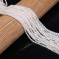 Cultured Rice Freshwater Pearl Beads polished DIY white Grade AAA 2.0-2.5mm Sold By Strand