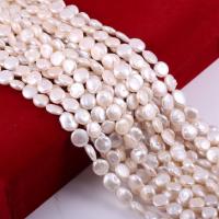 Monetų Kultūringas gėlavandenių perlų karoliukai, Gėlo vandens perlų, Butas Round, natūralus, Pasidaryk pats, baltas, 12X12MM, Pardavė Strand