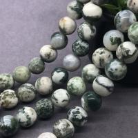 Tree ahat perle, Tree Agate, Krug, uglađen, različite veličine za izbor, Prodano Per Približno 15 inčni Strand