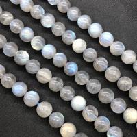 Mondstein Perle, rund, poliert, verschiedene Größen vorhanden, Grade AAAAA, verkauft per ca. 15 ZollInch Strang