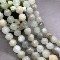 Mondstein Perlen, rund, poliert, verschiedene Größen vorhanden, verkauft per ca. 15 ZollInch Strang