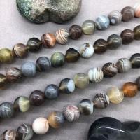 Persian Gulf Agate Beads Round polished Sold Per Approx 15 Inch Strand