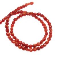Natural Coral Beads Nuggets polished DIY reddish orange 5mm Sold By Strand