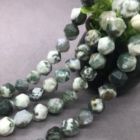 Tree Agate Beads polished & faceted Sold Per Approx 15 Inch Strand