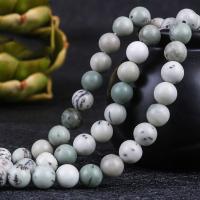 Picture jaspis perler, Picture Jasper, Runde, poleret, forskellig størrelse for valg, grøn, Solgt Per Ca. 15.4 inch Strand