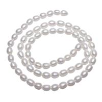 Perlas Arroz Freshwater, Perlas cultivadas de agua dulce, Blanco, 3-4mm, Vendido por Sarta