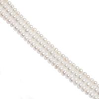 Tlačítko kultivované sladkovodní Pearl Beads, Kolo, lesklý, DIY, bílý, 4mm, Prodáno By Strand