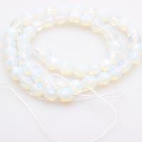 Moonstone Beads, Månesten, poleret, du kan DIY & forskellig størrelse for valg & facetteret, hvid, Solgt af Strand
