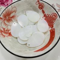 Ciondoli naturali di conchiglia bianca, DIY, bianco, Venduto da PC