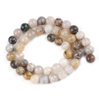Bamboo Agate Beads Round polished DIY Sold By Strand