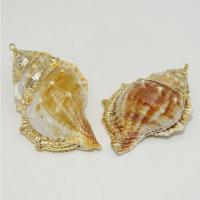 Natural Trumpet Shell Pendants with Zinc Alloy gold color plated DIY 25-30mm Sold By PC