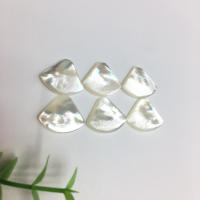 Κοχύλι Cabochons, Λευκό Shell, γυαλισμένο, DIY, λευκό, 10.50x13.50x2.30mm, Sold Με PC
