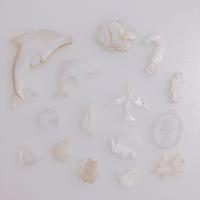 Naturliga Vit Shell Halsband, White Shell, DIY & olika stilar för val, fler färger för val, 4PC/Bag, Säljs av Bag
