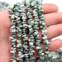 Chipsy Gemstone, Kamień plamisty zielony, Nieregularne, 5x8mm, sprzedane przez Strand