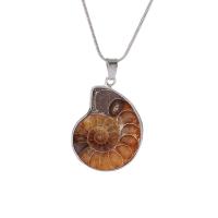 Shell Pendants Ammolite Shell with Zinc Alloy silver color plated DIY nickel lead & cadmium free Sold By Bag