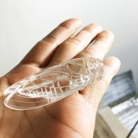Clear Quartz Decoration, Cicada, Carved, white, 60x20mm, Sold By PC