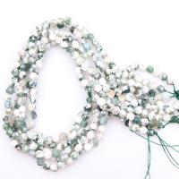 Tree Agate perler, poleret, du kan DIY & forskellig størrelse for valg, Solgt af Strand