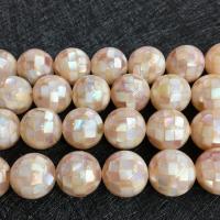 Natural Freshwater Shell Beads Mosaic Shell polished 16mm Sold By Strand