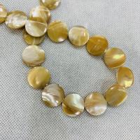 Natural Freshwater Shell Beads polished 15mm Sold By Strand