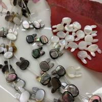 Perles naturelles de coquillage d'eau douce , coquille, lapin, poli, plus de couleurs à choisir, 10x12mm, Vendu par brin