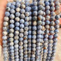 Perles agates, Agate d'impression de léopard, Rond, poli, DIY, cyan, 10mm, 35PC/brin, Vendu par brin