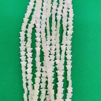 Natural Freshwater Shell Beads Star polished 10mm Sold By Strand
