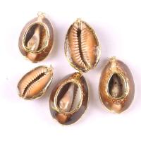 Shell Pendants plated DIY sienna 10mm Sold By PC