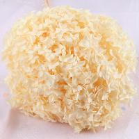 Artificial Flower Home Decoration Dried Flower durable & DIY 200-260mmx500-600mm Sold By PC