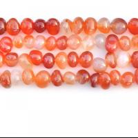 Perles agates, Agate, pepite, couleurs mélangées, Vendu par brin