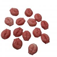 Naturlig Pink Shell Perler, Shell Powder, med Queen Conch Shell, at trykke på, lyserød, Solgt af PC