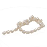 Bulvių išauginti gėlavandenių perlų karoliukai, Gėlo vandens perlų, baltas, 10-11mm, Pardavė Strand