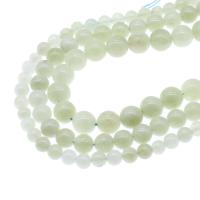 Luce notturna-pietra perla, Cerchio, nessuno, 6mm,8mm,10mm, Venduto da filo