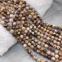 Zebra Jasper Beads Round mixed colors Sold By PC
